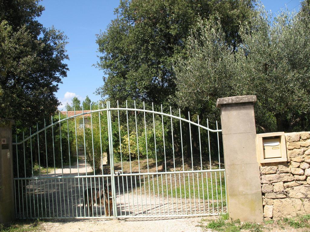 베르 퐁 뒤 가르 Mas Blauvac Avec Piscine, Entre Uzes Pont Du Gard 빌라 객실 사진